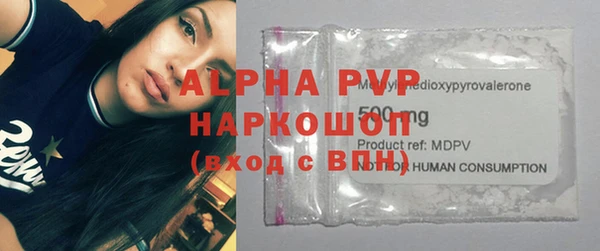 дживик Снежногорск