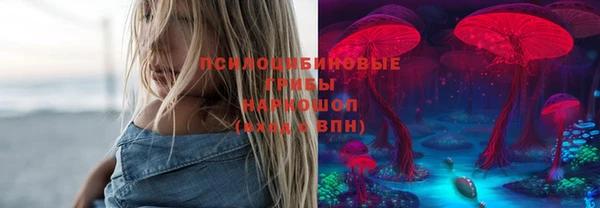 дживик Снежногорск