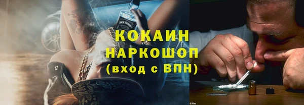 дживик Снежногорск