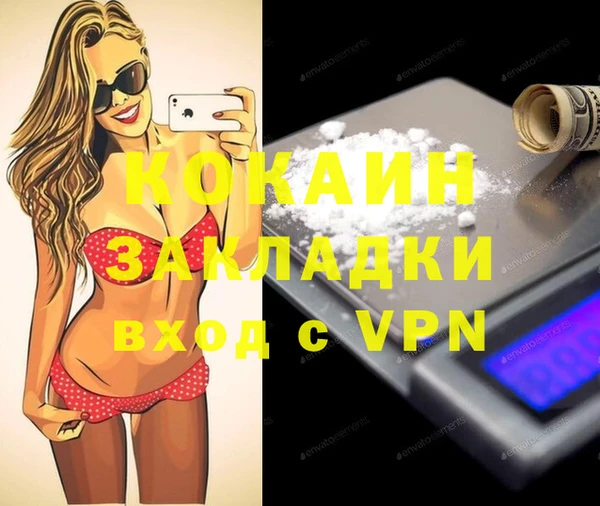 дживик Снежногорск
