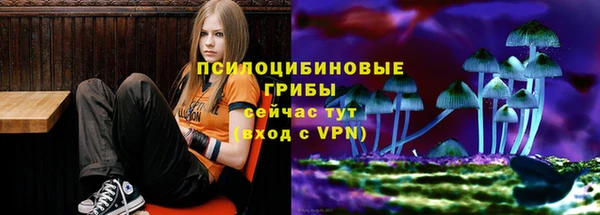 дживик Снежногорск