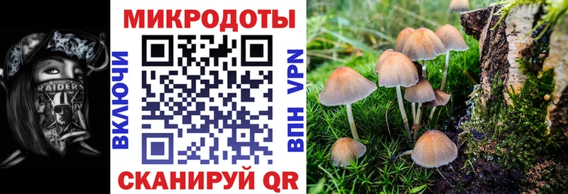 Псилоцибиновые грибы мухоморы Шали